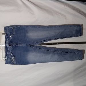 Paisley Sky Women's Blue Denim Stretch Skinny Jeans Size 16